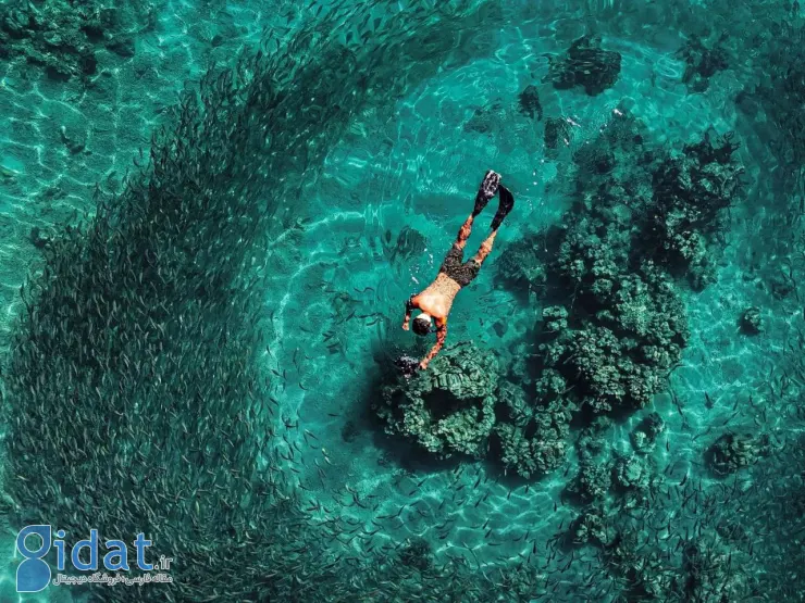 photo_2025-12-01_08-22-06 (2)